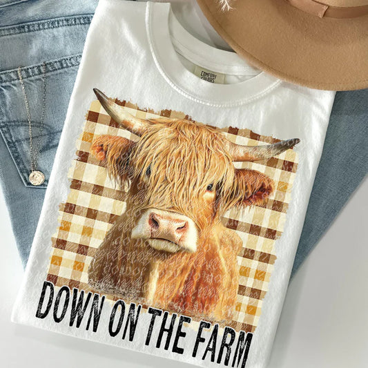 Down on the farm - highland cow