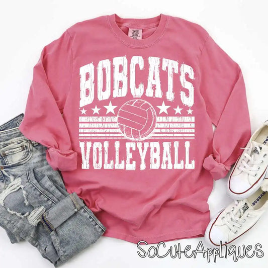 Mascot volleyball stars and stripes