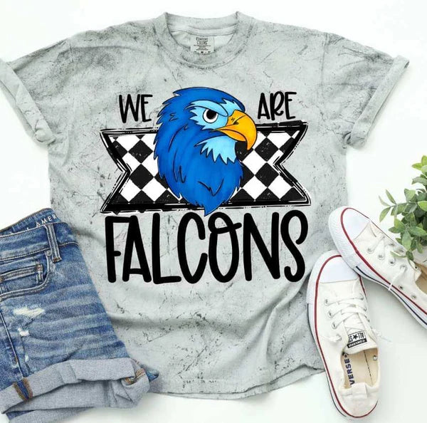 We are falcons