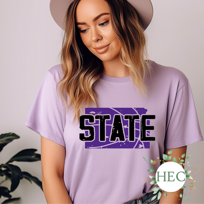 State - Wildcats Basketball