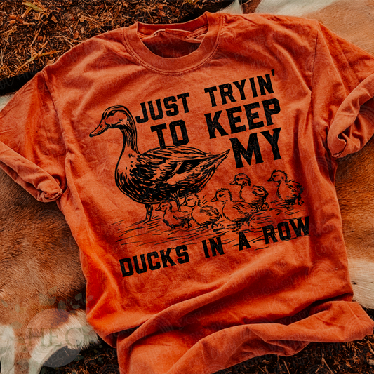 Just trying to keep my ducks in a row