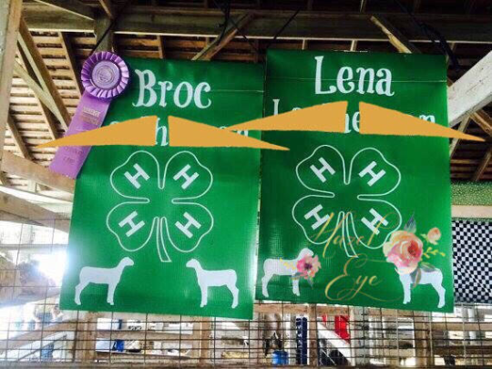 4-H Show Flag