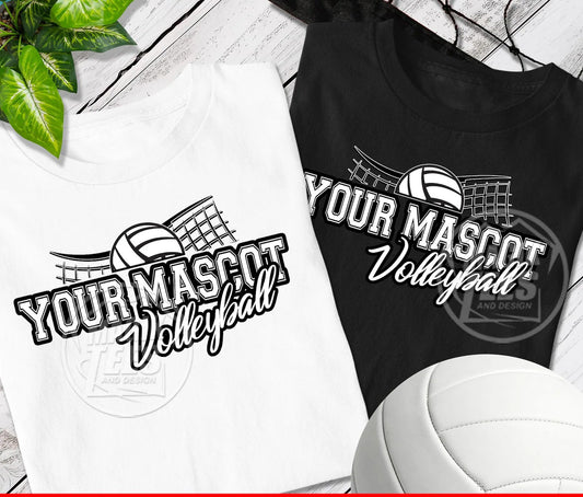 Custom Volleyball