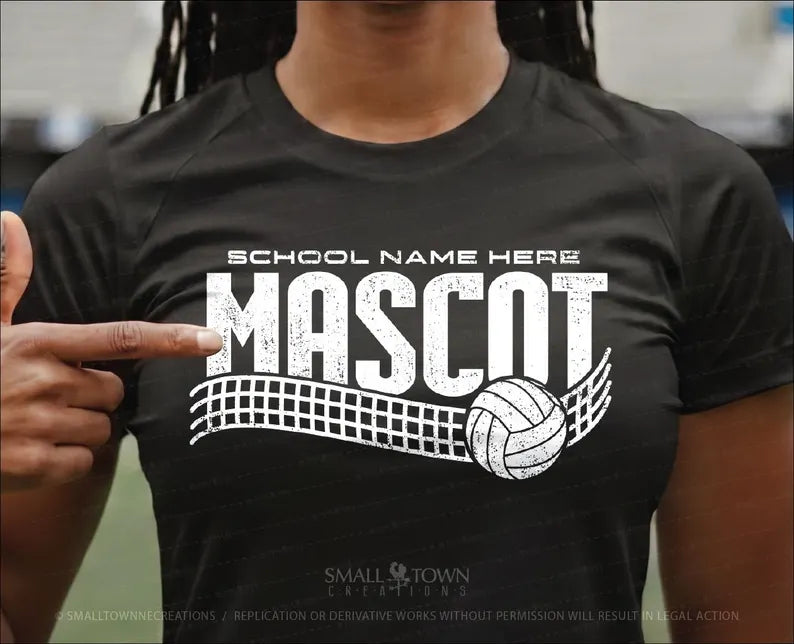 Custom Volleyball