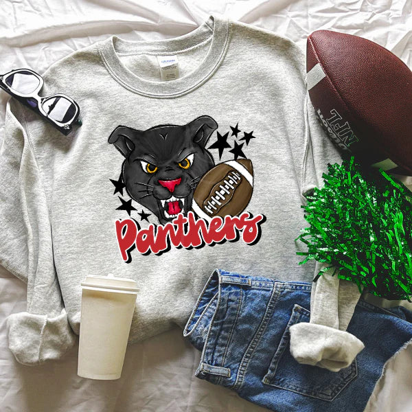 Panthers football