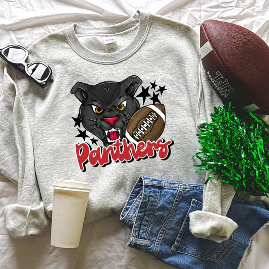 Panthers football