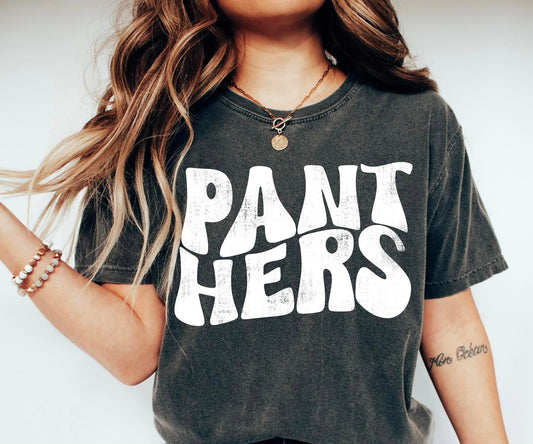 Panthers retro