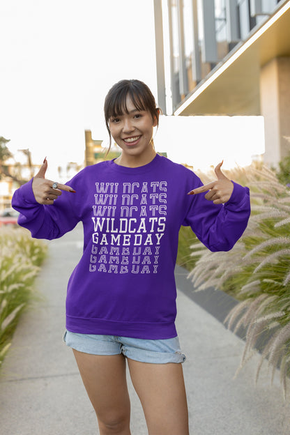 Game day wildcats