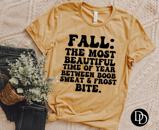 Fall the most beautiful time