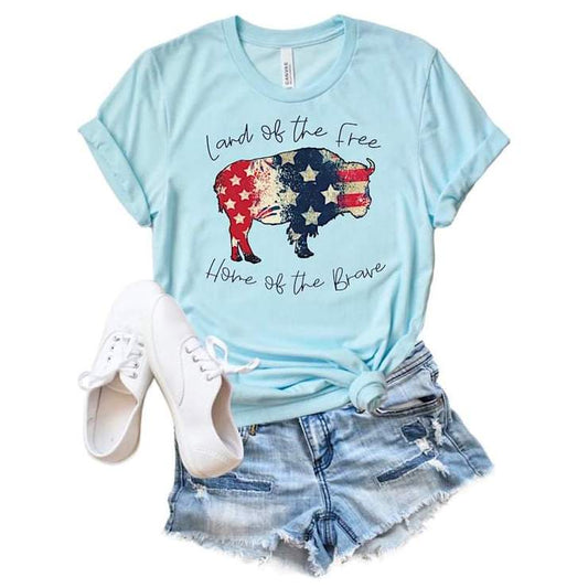 Land of the free home of the brave